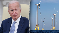 Biden green energy project halted by Trump admin relied on rushed, bad science, study finds