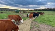 'Pro-American' husband and wife become farmers, reveal how their product aligns with healthy living goals