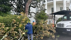 Trump to plant new Jackson magnolia tree after White House chop-down: 'We've done everything for this tree'