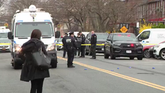 Meat cleaver-wielding man stabs young girls in bloody NYC attack as 11-year-old calls 911: police