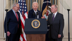 'Biden effect' hits the Senate: Wave of retirements clears path for younger Dems