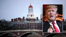 Trump froze funding for Harvard. Money to these universities may also be on the chopping block