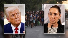 Mexican president declines Trump's offer of US troops to help fight drug cartels