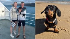 Mini dachshund who escaped owners 1 year ago continues to evade capture on remote island