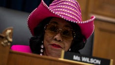 Democrat Rep. Wilson urges people to call, threaten lawmakers over uptick in illegal immigration detentions