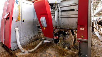 Smarter dairy farms where robots milk the cows - Fox News