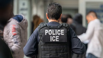 Chicago suspends program to protect illegal immigrants after ICE requests info - Fox News