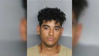 Mexican illegal immigrant released under Biden 'sexually battered' boy while playing hide and seek: sheriff - Fox News