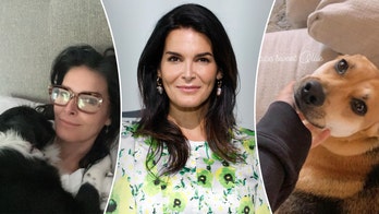 Angie Harmon was 'saved' in unexpected way after delivery driver killed her dog