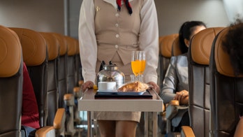Popular airline's retro food menu sparks 'golden age' flying comparisons as passengers react