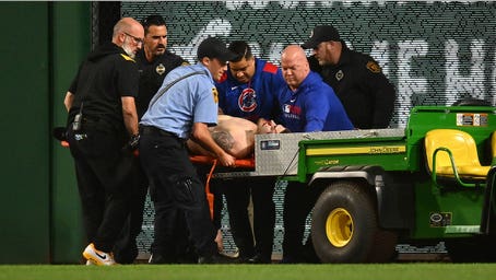 Baseball fan plummets from stands to ground during Pirates-Cubs game