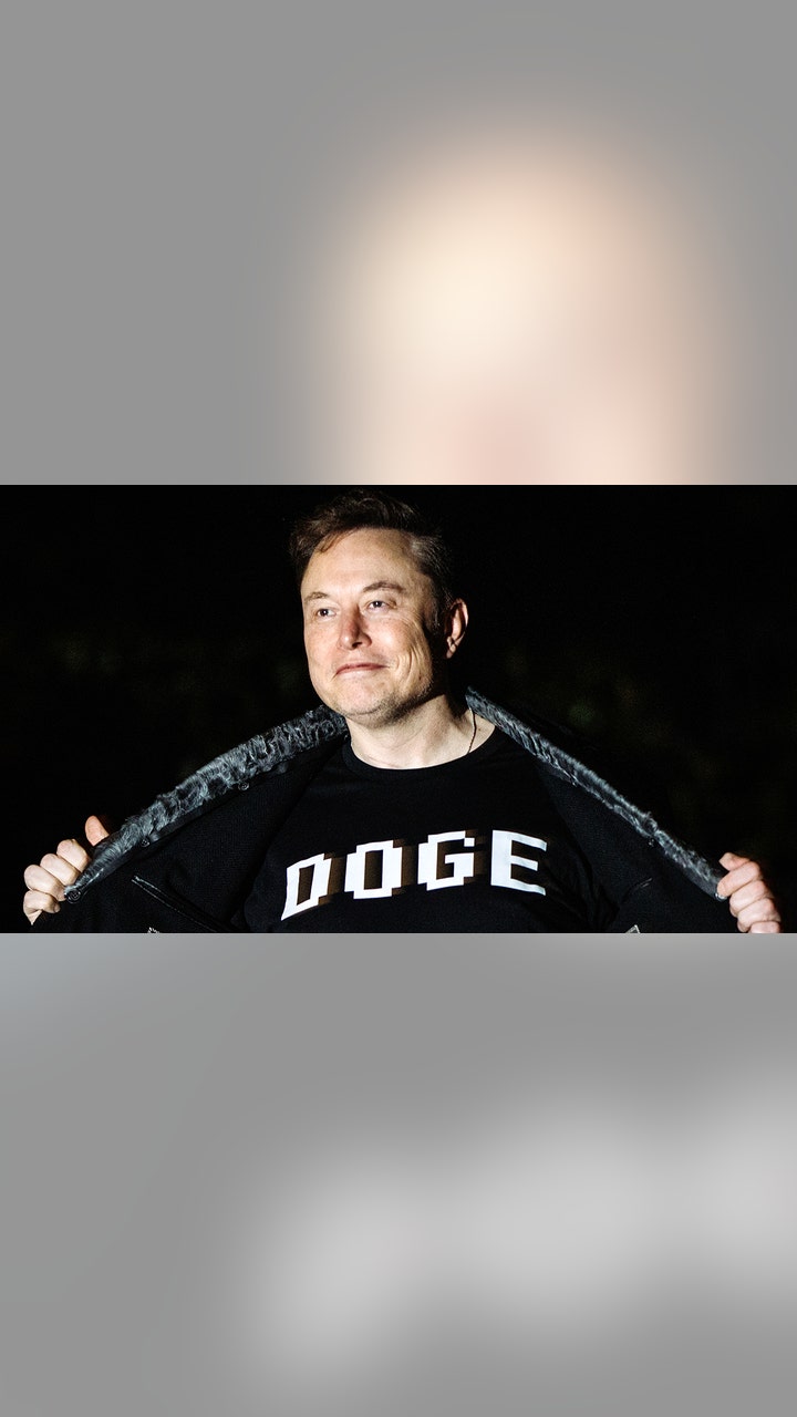 Doge Unemployment Insurance: Secure Your Future Today