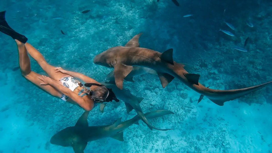 Swimming with whales