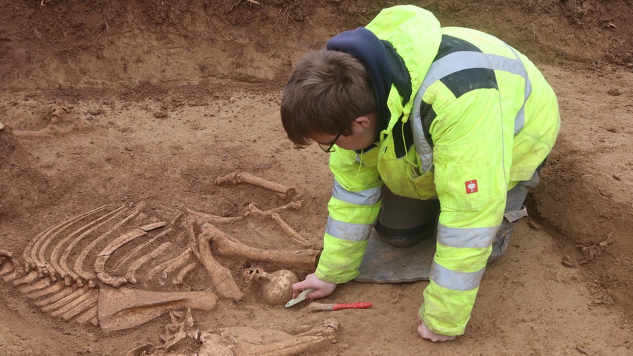 Archaeologists uncover massive number of horse skeletons