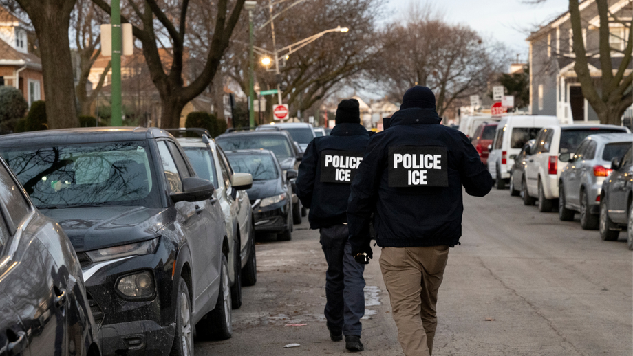 TRUMP ICE Arrests Spark Hope: Crime Plunges, Says Ex-FBI Agent