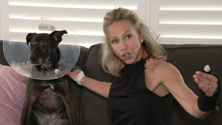 Florida woman pries 6-foot alligator’s jaws open to save pet dog