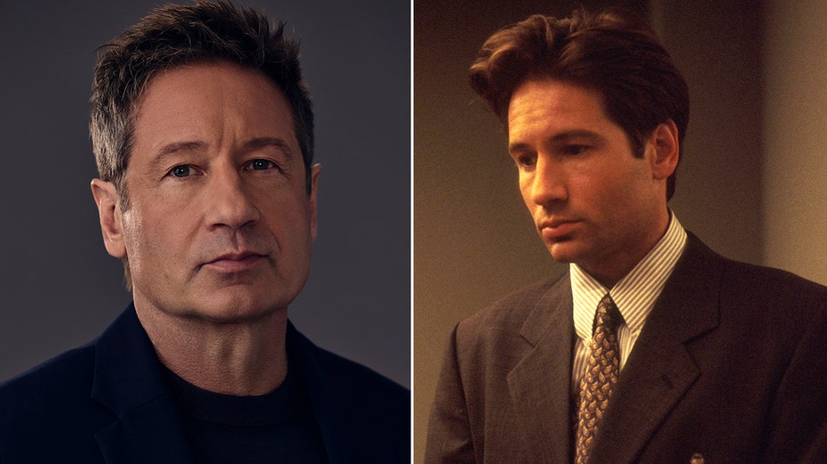 David Duchovny Explores Government Secrets in 'Secrets Declassified' Premiere