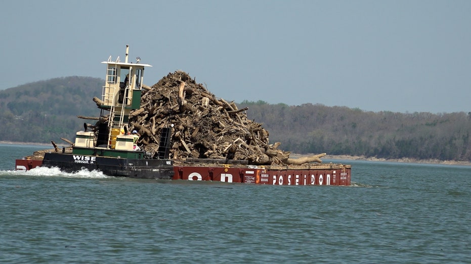 East Tennessee Rushes to Finish Hurricane Helene Debris Cleanup