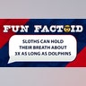 Sloths can hold their breath about 3X as long as dolphins