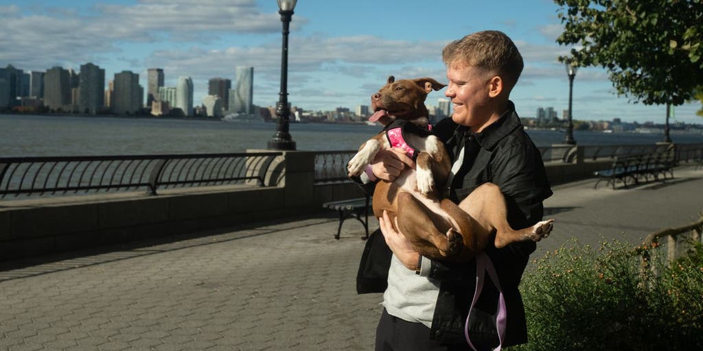 https://a57.foxnews.com/static.foxnews.com/foxnews.com/content/uploads/2025/05/1024/512/2-ai-technology-helps-reunite-lost-dogs-with-their-owners.jpg?ve=1&tl=1