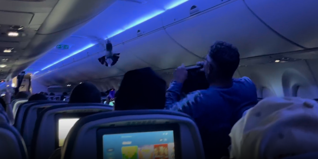 https://a57.foxnews.com/static.foxnews.com/foxnews.com/content/uploads/2025/05/1024/512/delta-pigeon-1.png?ve=1&tl=1