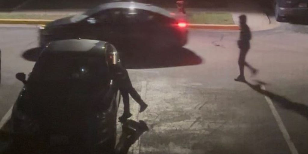 Maryland police frustrated after teen accused in more than 100 car break-ins released within hours of arrest