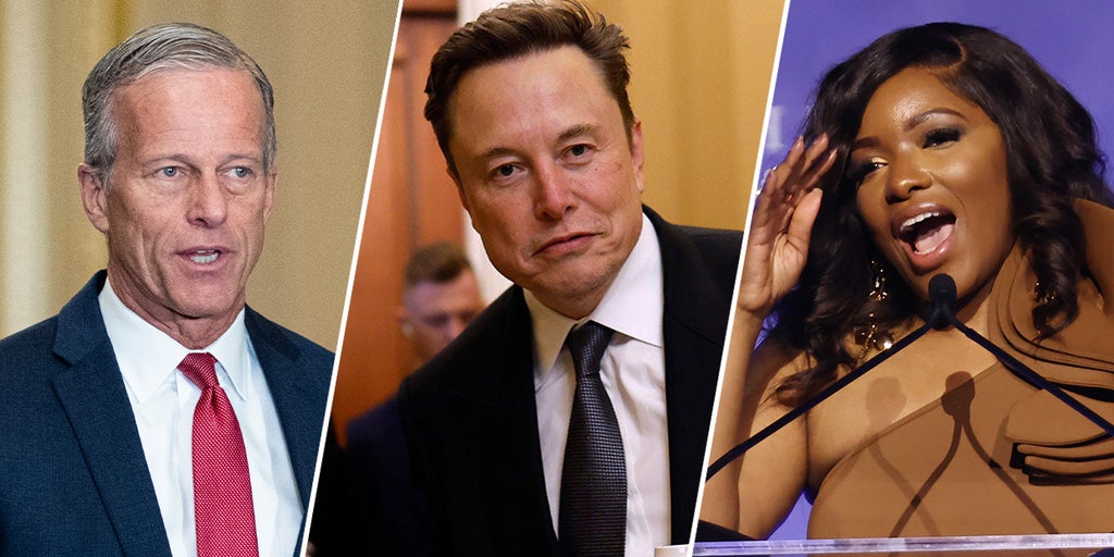 'American hero' or 'failure': Elon Musk's DOGE departure divides Capitol Hill