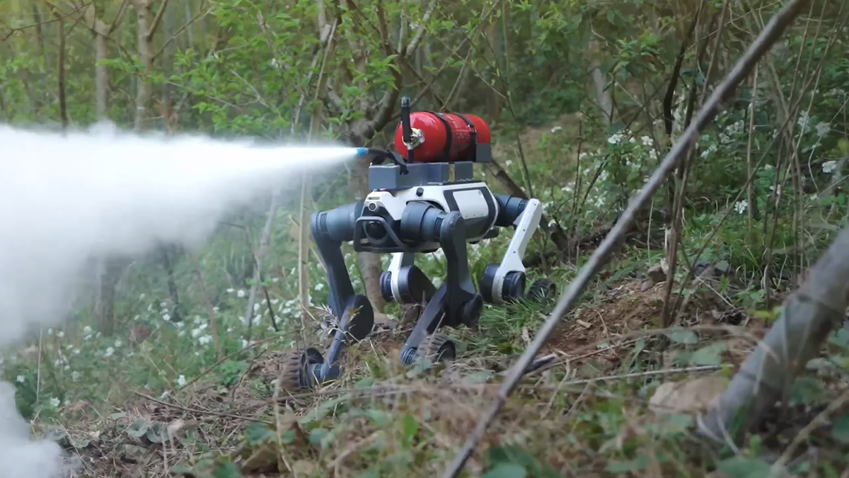 wheeled robot 4