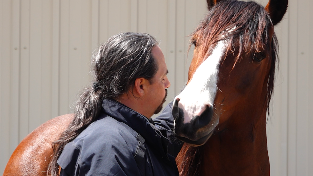 Veteran names horse Spirit