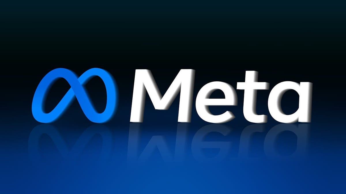 meta scrutiny 1