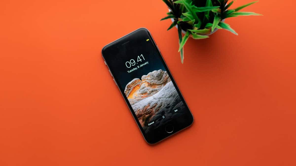 smartphone next to plant