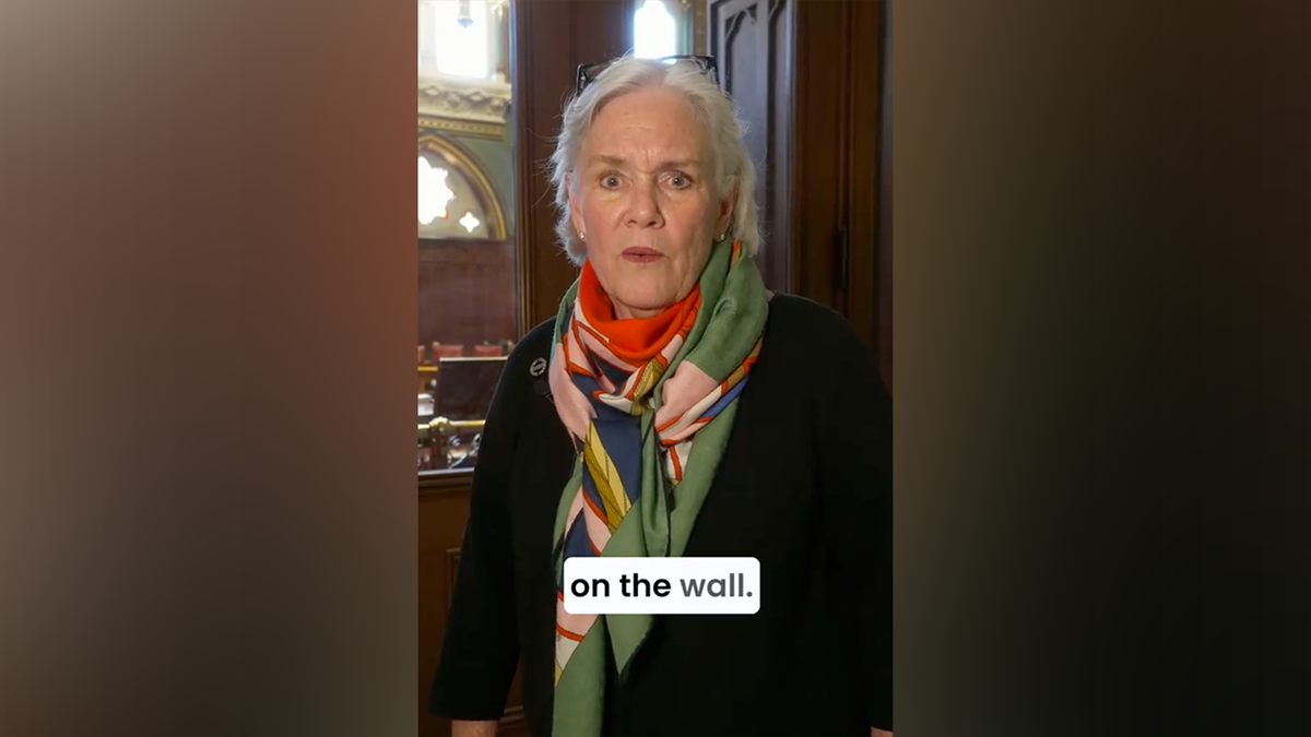 Connecticut Senator Ceci Maher
