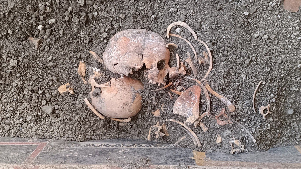 Skeletons on ground
