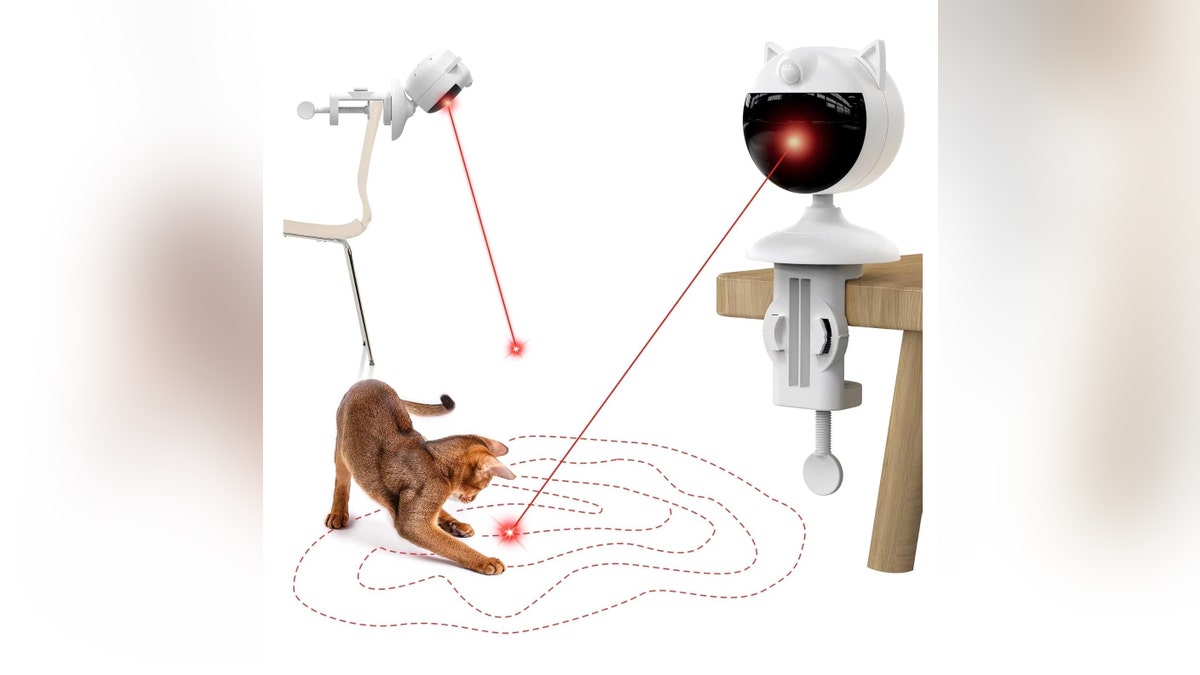 Laser toys provide hours of exercise for your cat. 