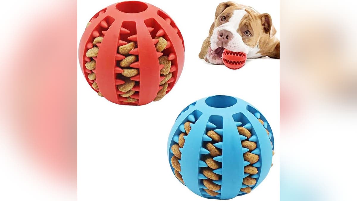 Your pup will have a blast with this interactive ball.?