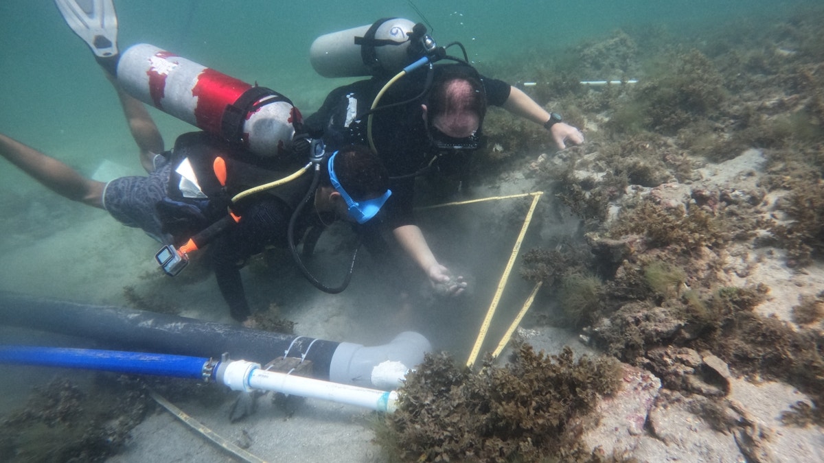 Archaeologists looking at ocean floor