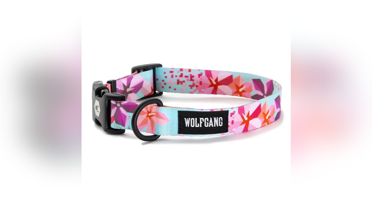 A stylish and durable collar that can withstand pulling. 