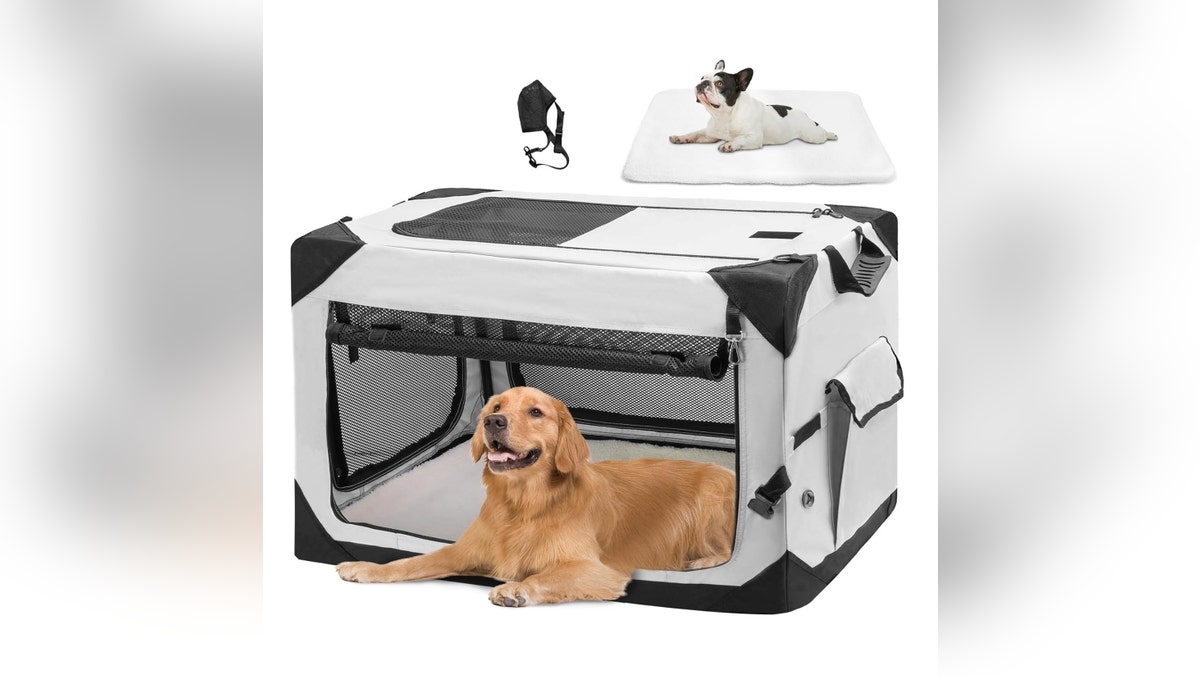 Perfect for camping or traveling, this crate folds up quickly. 