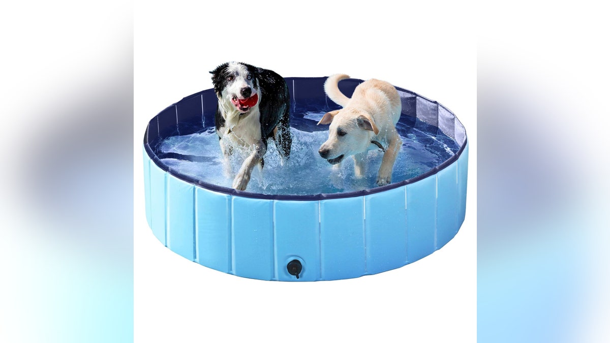 Pop up this pool on hot days and watch your pup splash around. 
