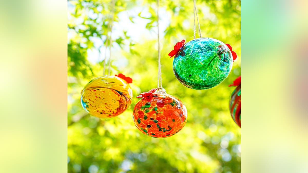 Attract all the hummingbirds to your yard.?