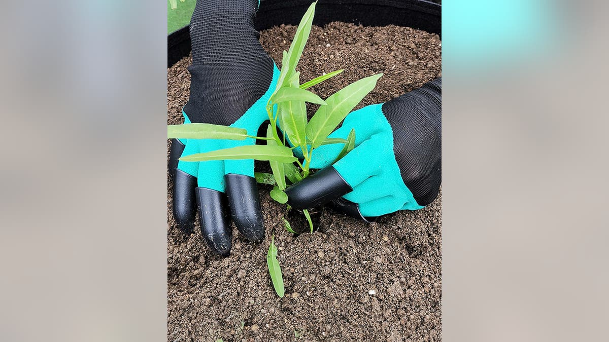 Dig in the dirt with ease when you use these gloves.?