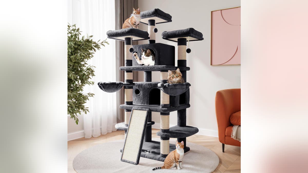 This extra-large cat tree is perfect for multi-cat households. 