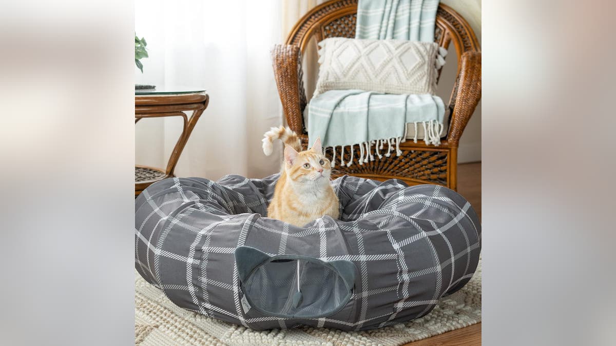 A bed and a cat toy all in one. 