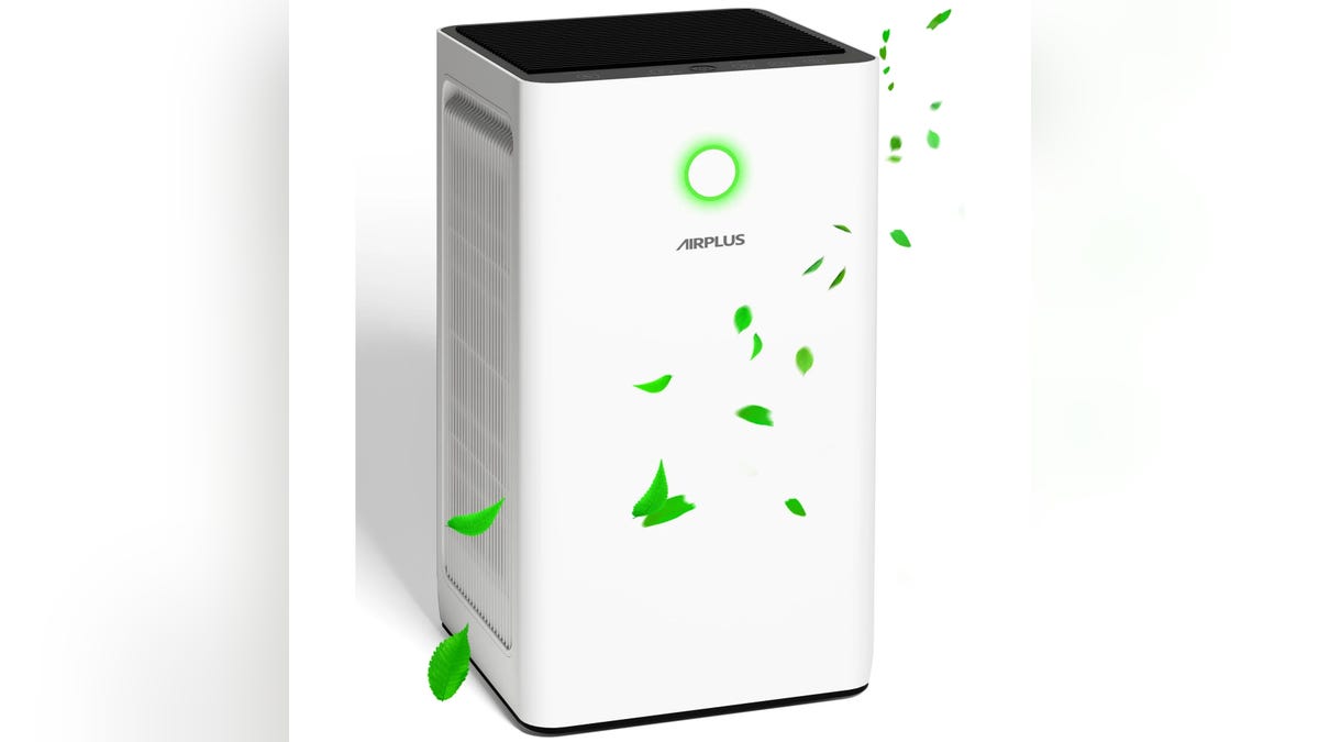 This air purifier will take care of smells and dust in large rooms.