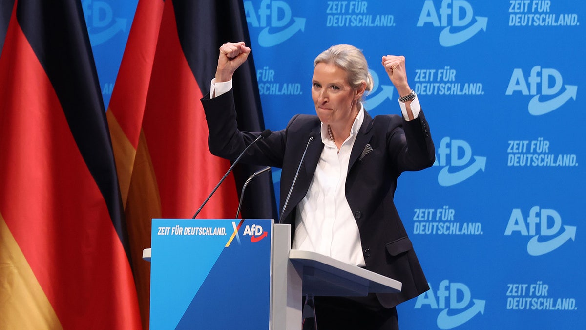 Alice Wadel, the co -leader of the country's popular political party of the Germany (AFD), in a mass rally