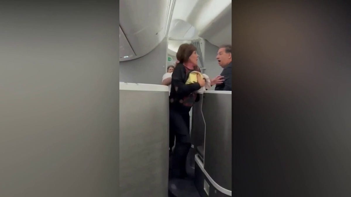 American Airlines passenger restrained