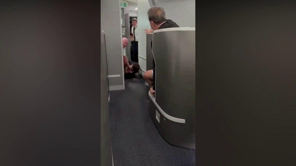 American Airlines passenger restrained