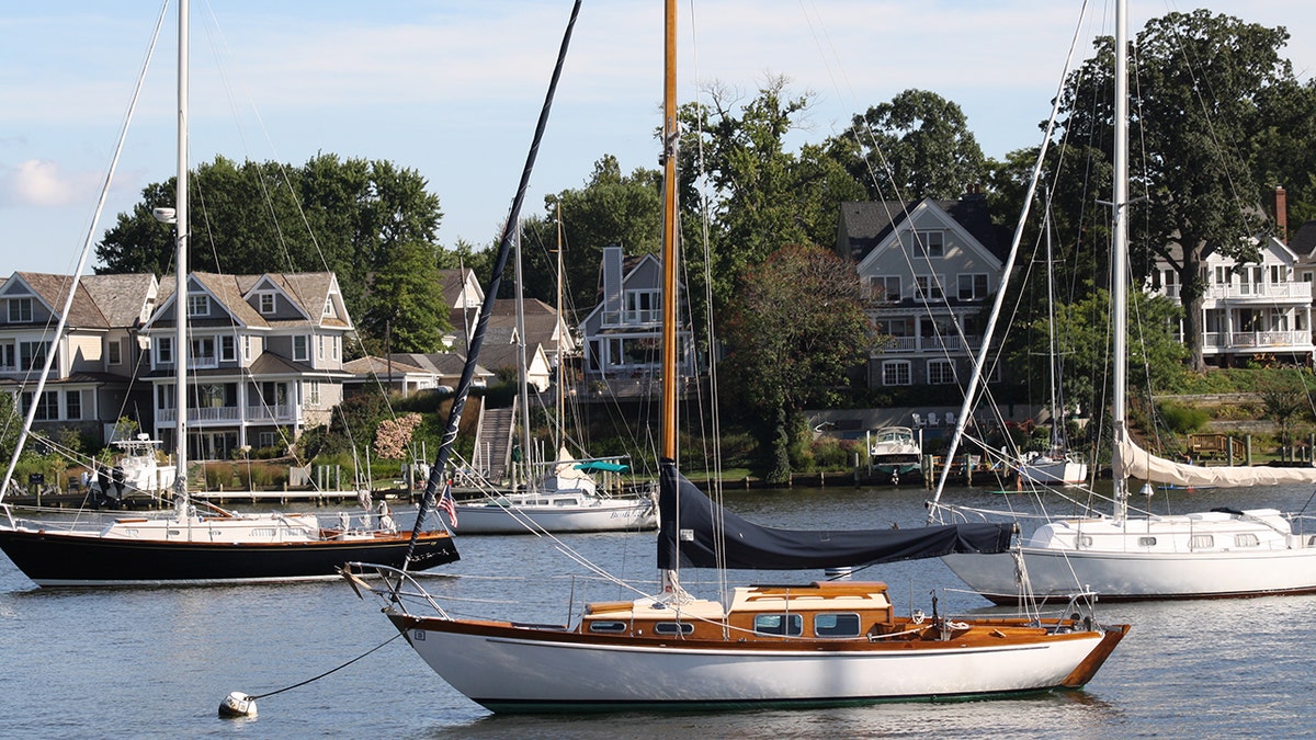 sailboats in a harbor in annapolis maryland on a clear day