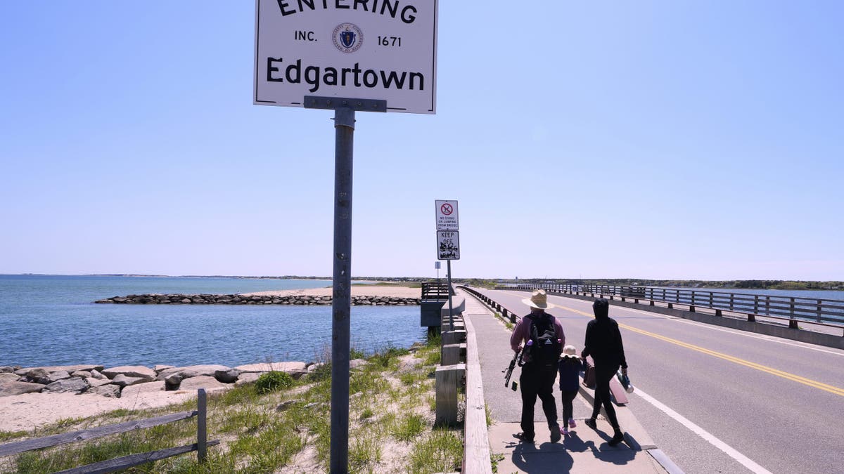 Endurance swimmer to circle Martha's Vineyard in frigid waters to protect sharks Jaws Anniversary Shark Swim