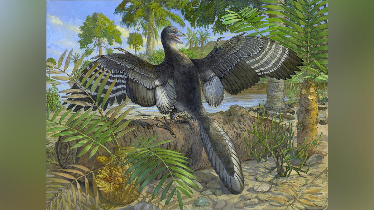 archaeopteryx-illustration
